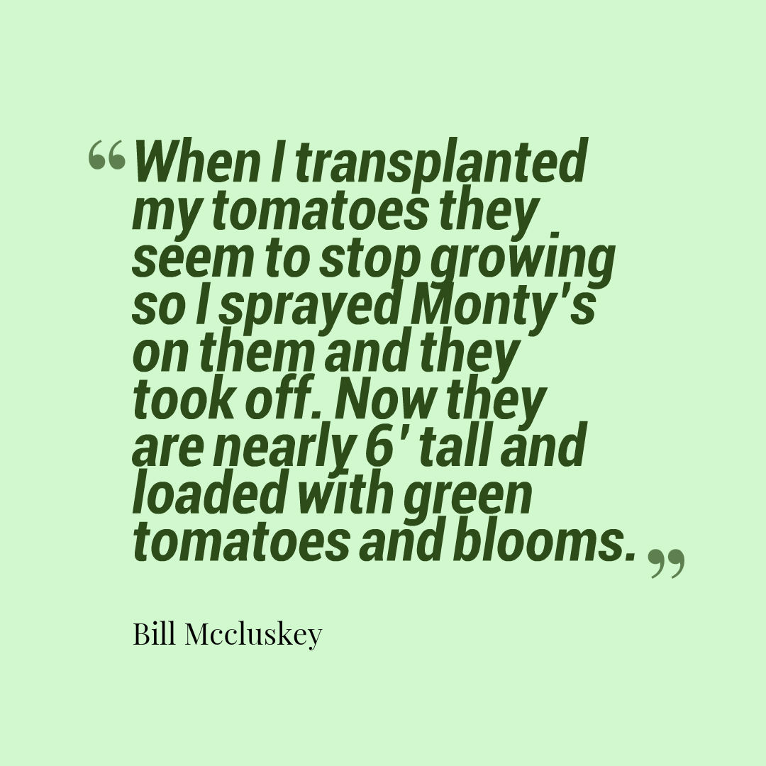 Quote bill