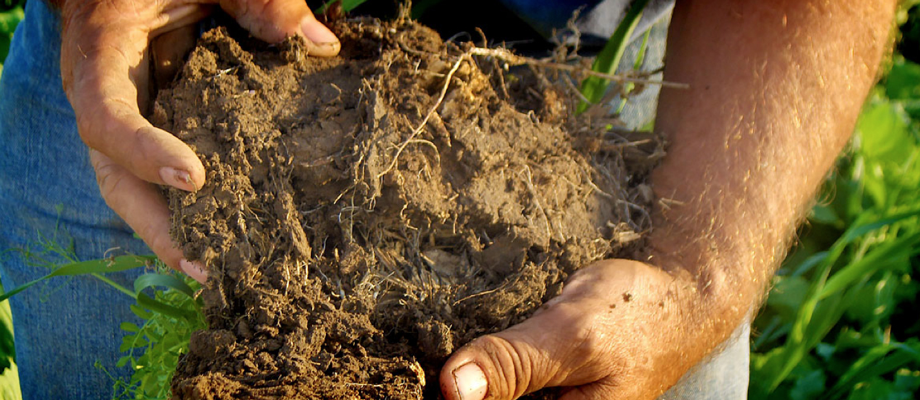soil-health