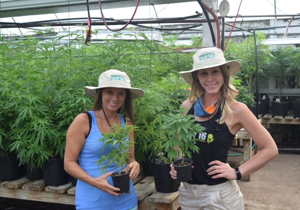 Hemp Pro Female picture
